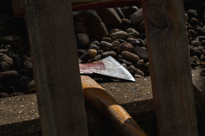 Close-up of logs in forest