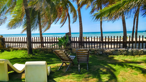 Chairs and palm trees on beach against sky