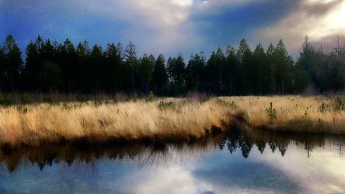 Scenic view of lake against sky