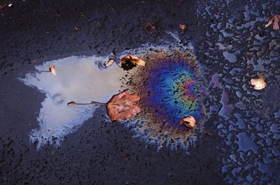 High angle view of a polluted puddle on street