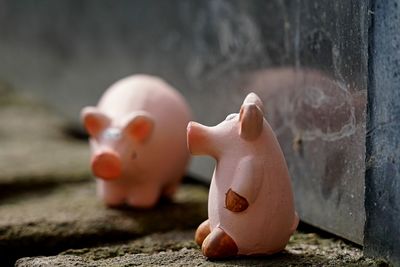 Piggy on the wall