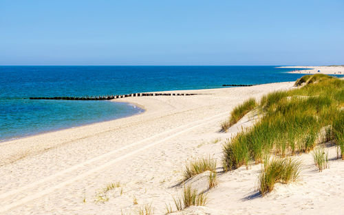 Scenic view of beach against clear sky