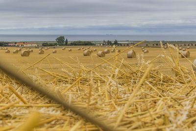 Hay bales on field against sky