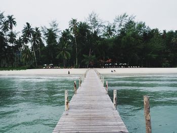 Pier over lake against trees