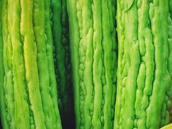 Full frame shot of vegetables