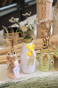 Close-up of potted plant on table at home