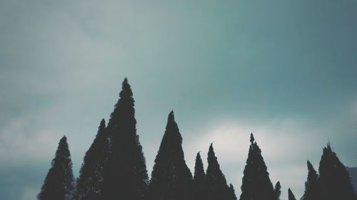 Silhouette of trees against sky during winter