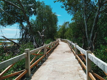 View of footbridge in forest