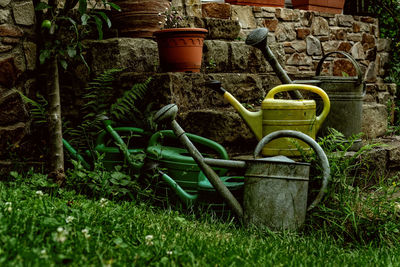 Close-up of potted plants on field in yard