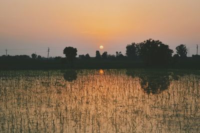 Scenic view of landscape against sky during sunset