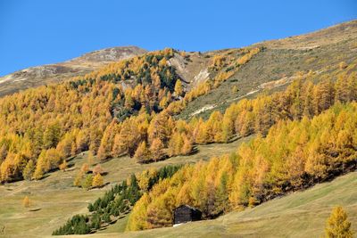 Scenic view of mountains against clear blue sky