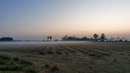 Scenic view of field against sky during sunset