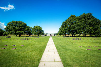 Footpath amidst trees against blue sky