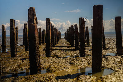 Panoramic shot of wooden posts on beach against sky