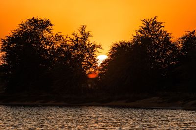 Silhouette trees by lake against orange sky