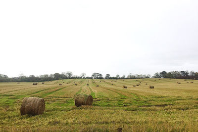 Hay bales on field against clear sky