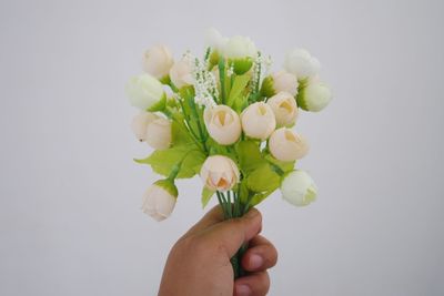 Close-up of hand holding bouquet against white background