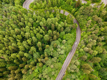 High angle view of road amidst trees in forest