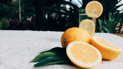 Close-up of oranges on table