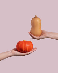 Female hands holding small orange and yellow pumpkins on a pink background