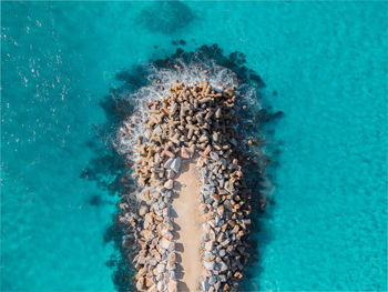 View of coral underwater