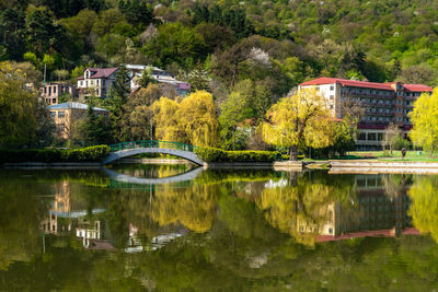 Reflection of trees in lake