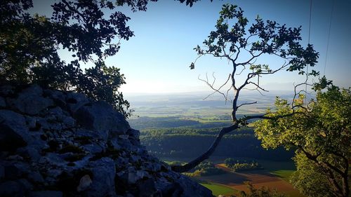 Scenic view of landscape against clear sky