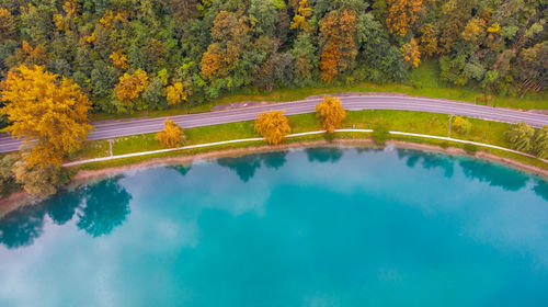 Reflection of trees in lake