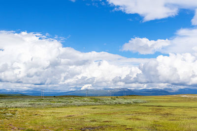 View at a mountain plateau in the summer with a power line