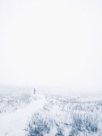 View of snow covered landscape in foggy weather