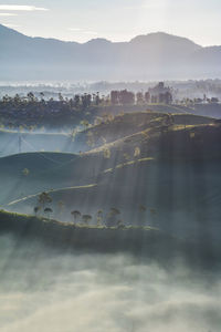 Beautiful morning view in the mountains with the sun shining through the fog through the trees