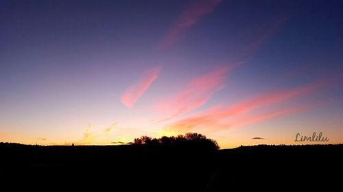 Silhouette of trees at sunset