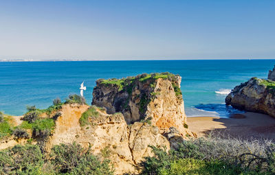 Scenic view of sea against clear sky