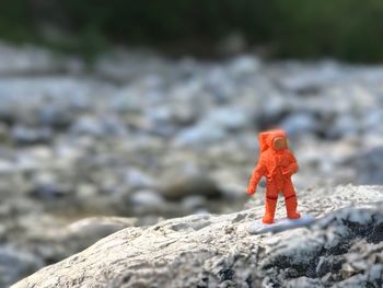 Close-up of child on rock