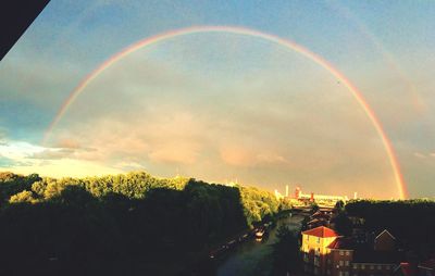 Rainbow over trees against sky