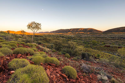 Scenic view of landscape against clear sky during sunset