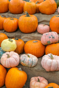 Full frame shot of pumpkins for sale at market