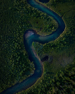 Aerial view of river amidst field