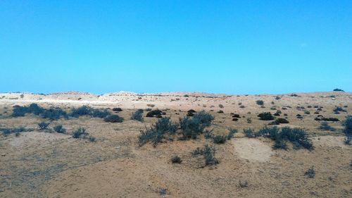 Scenic view of desert against clear blue sky