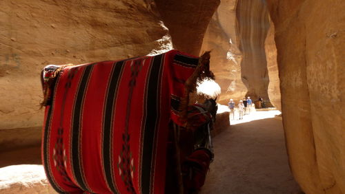 Horse cart amidst rock formations during sunny day