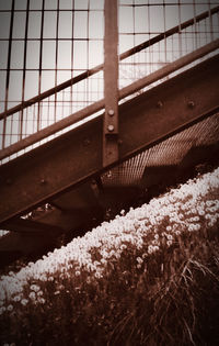 Close-up of snow covered railing