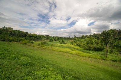 Scenic view of landscape against sky