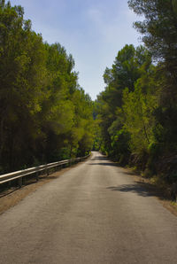 Road amidst trees in forest against sky