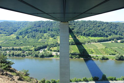 Scenic view of green landscape against blue sky