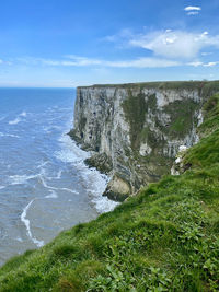 Bempton cliffs nature reserve