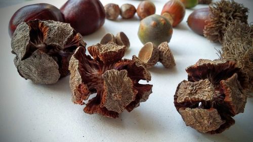 Close-up of food on table