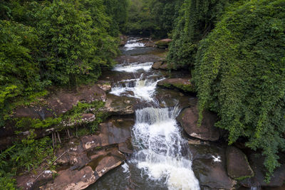 Scenic view of waterfall in forest