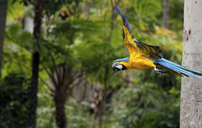 View of a bird flying against the sky