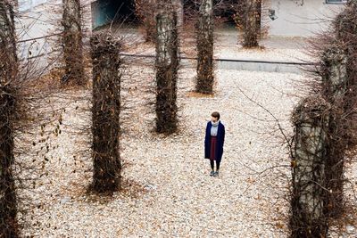 Rear view of a man walking in autumn