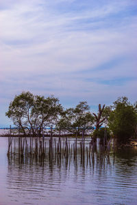 Scenic view of lake against sky